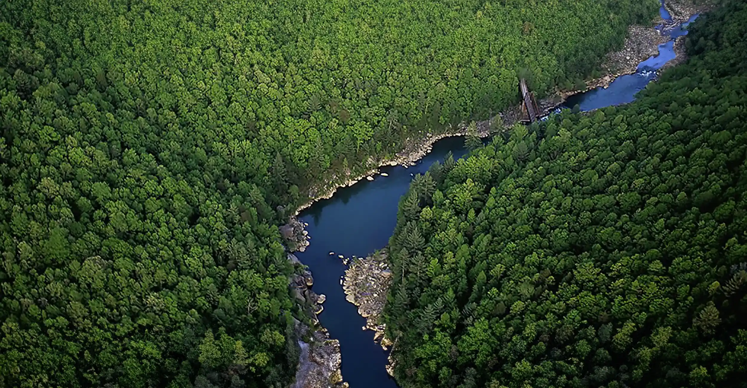 An aerial photo of a river winding through dense forest
