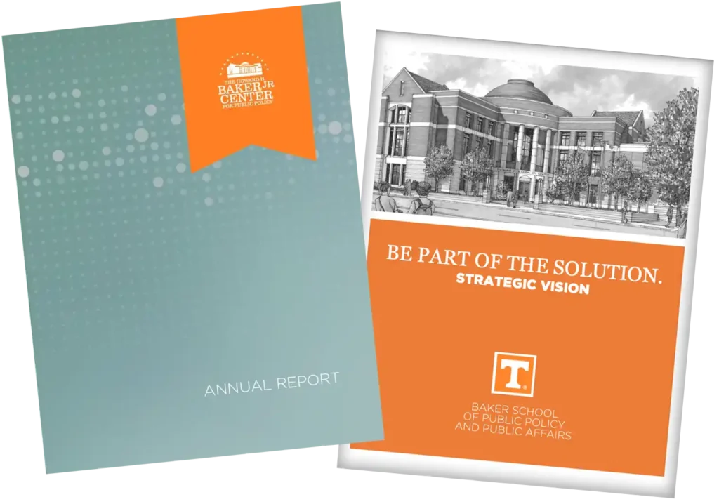 An image of the annual report and strategic vision report.
