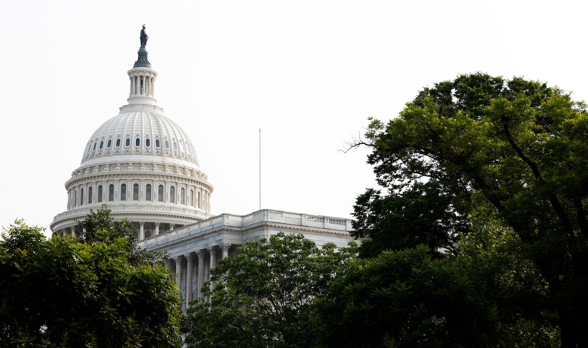 Record 41 UT Students Head to Washington for Summer Policy Internships 
