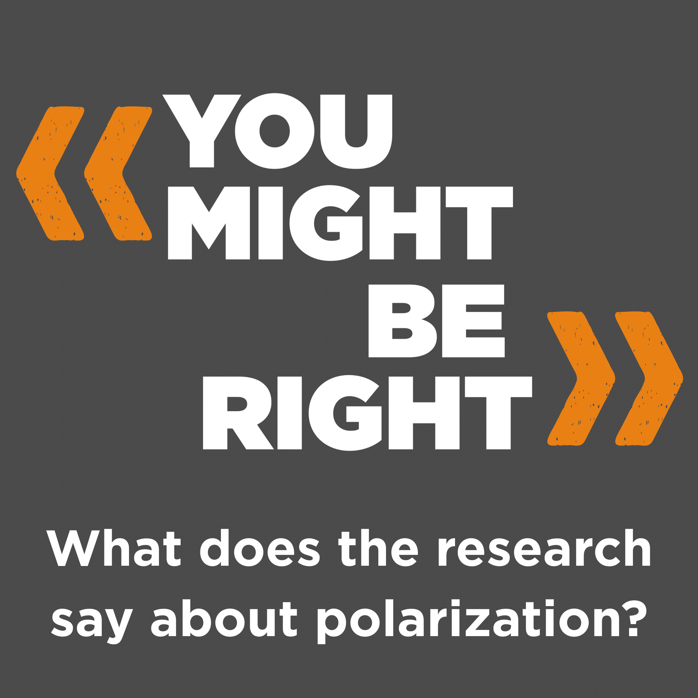 What Does the Research Say About Polarization? – with Rachel Kleinfeld